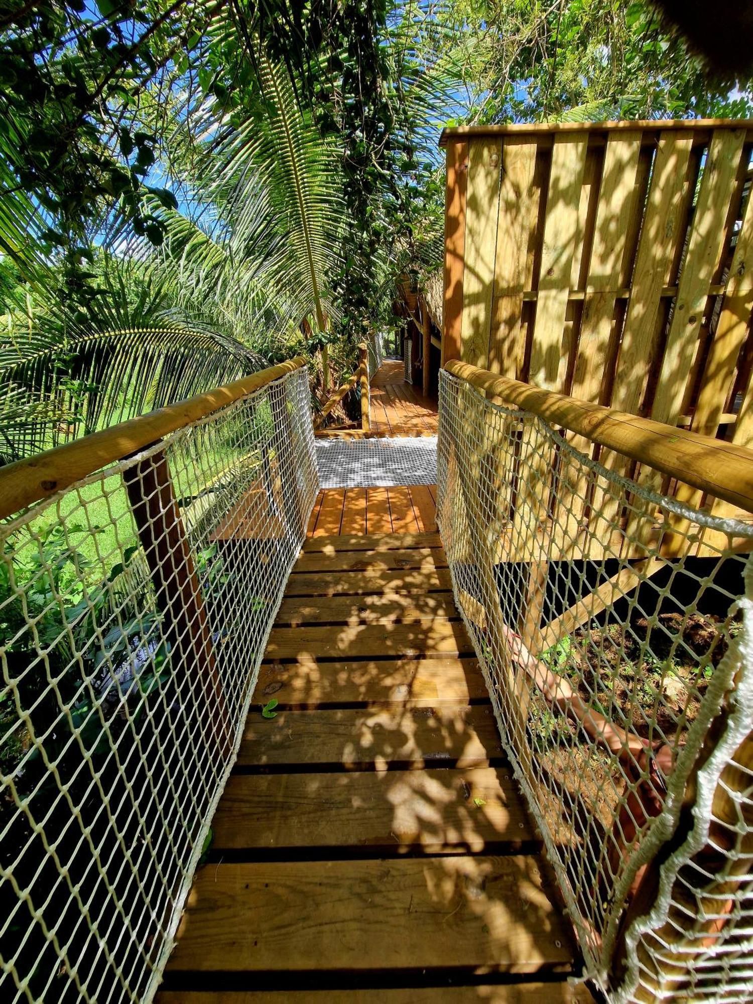 Pura Vida Lodge Cabane Perchee Sainte-Rose Eksteriør bilde